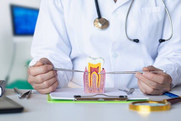 Best Emergency Dental Care for Trauma or Injury in Oak Ridge, NC